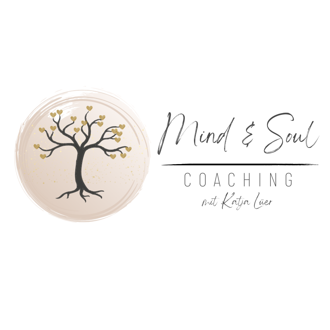 Paket SILBER: 6x Einzelcoaching 90min